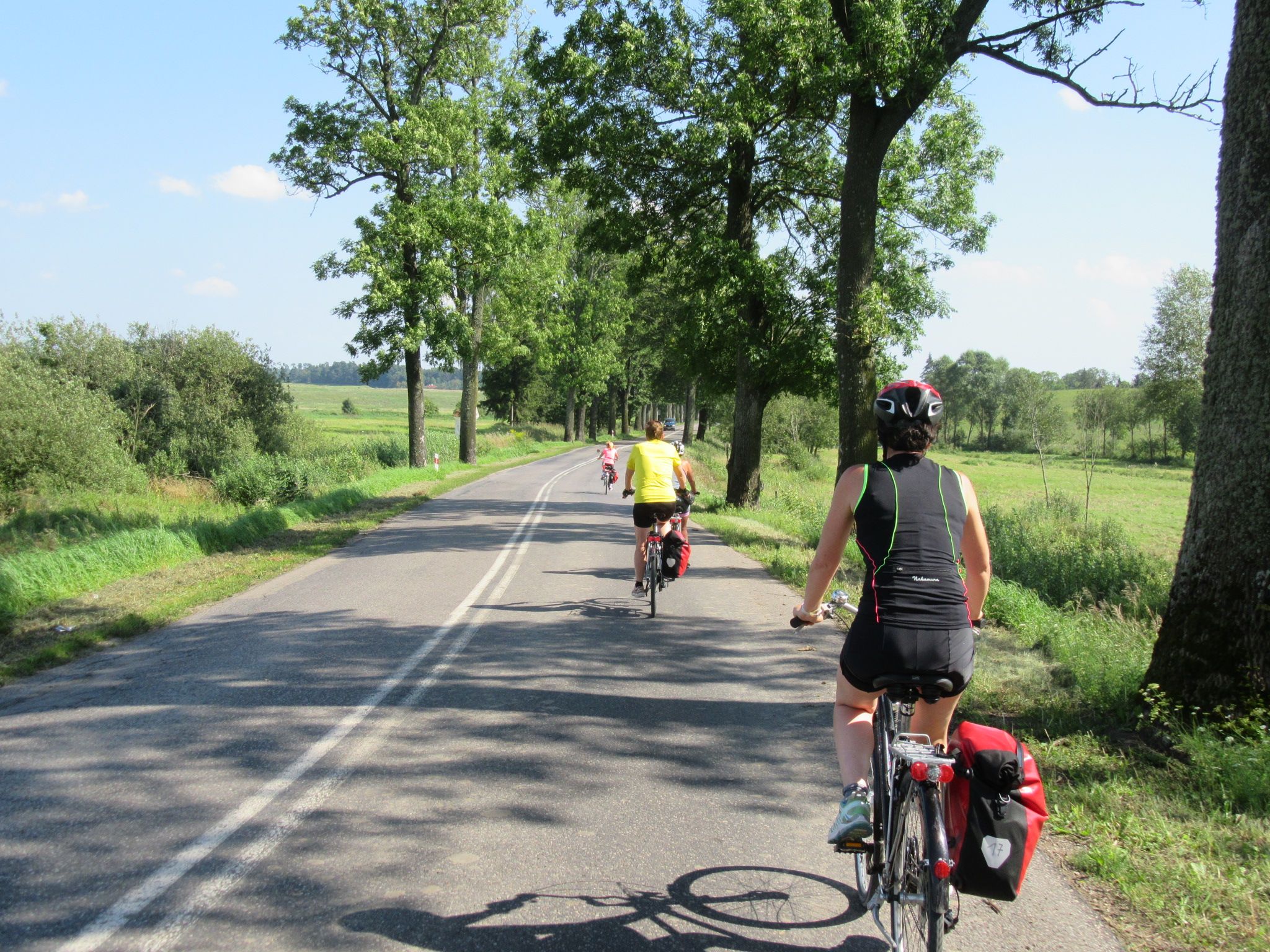 Turisti in bicicletta su una pista ciclabile alberata nella campagna polacca.